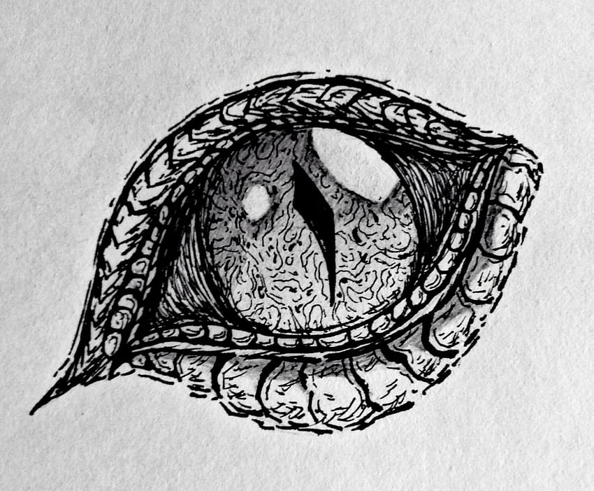 A dragon eye drawing from my art Instagram, @craftycow_arts : r/drawing