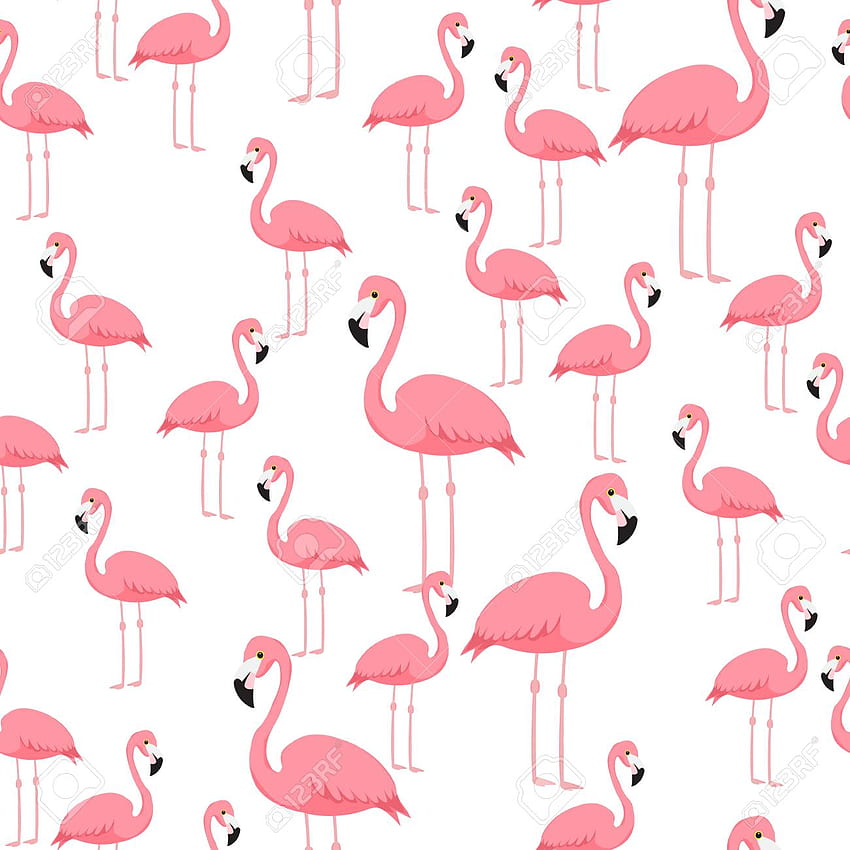 Flamingo Pink, Pink Flamingo Laptop HD phone wallpaper | Pxfuel