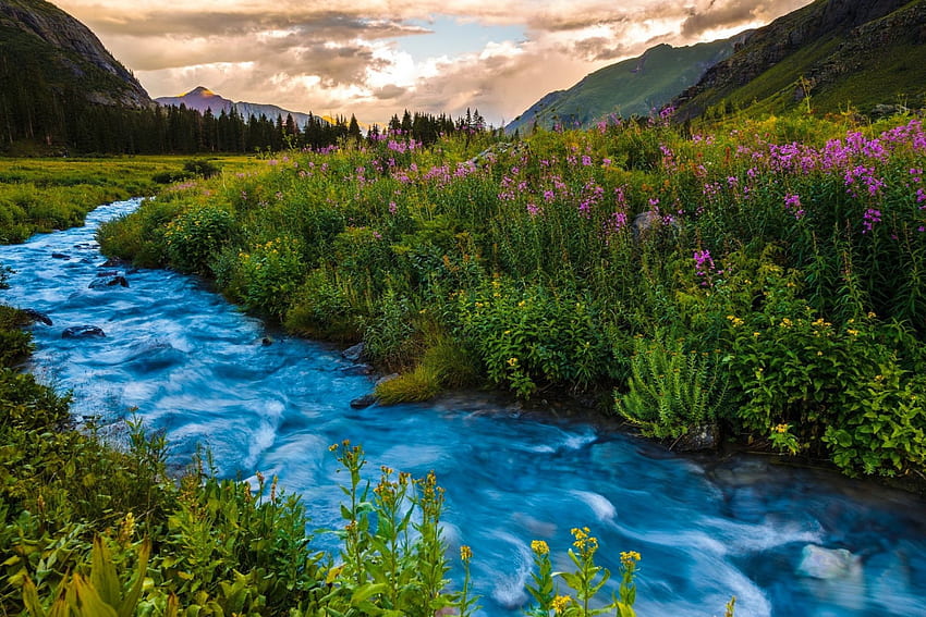 Mountain stream in spring, river, brook, beautiful, grass, spring, mountain, wildflowers, sky, stream HD wallpaper