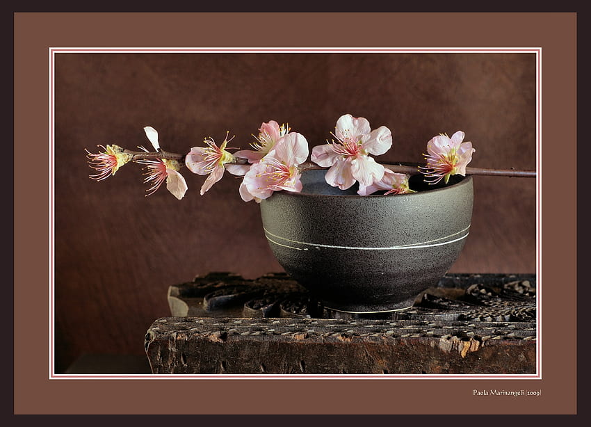 cherry blossoms, art , still life, vase, nature, flowers HD wallpaper