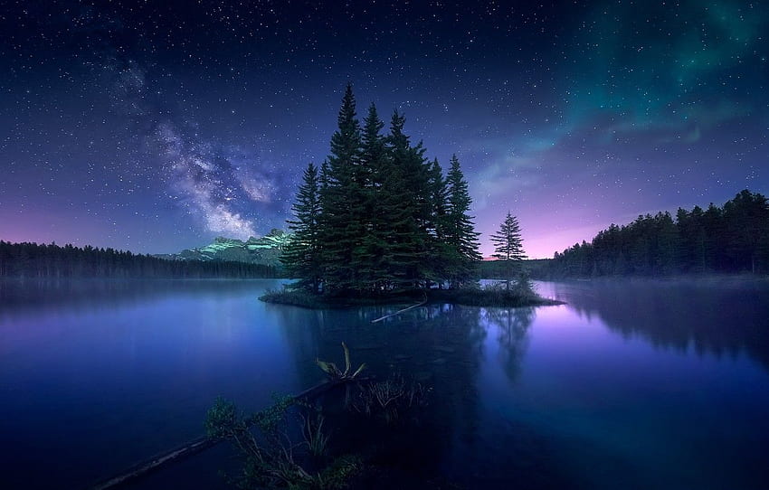 forest, the sky, night, Northern lights, Canada for , section пейзажи, Canadian Forest HD wallpaper