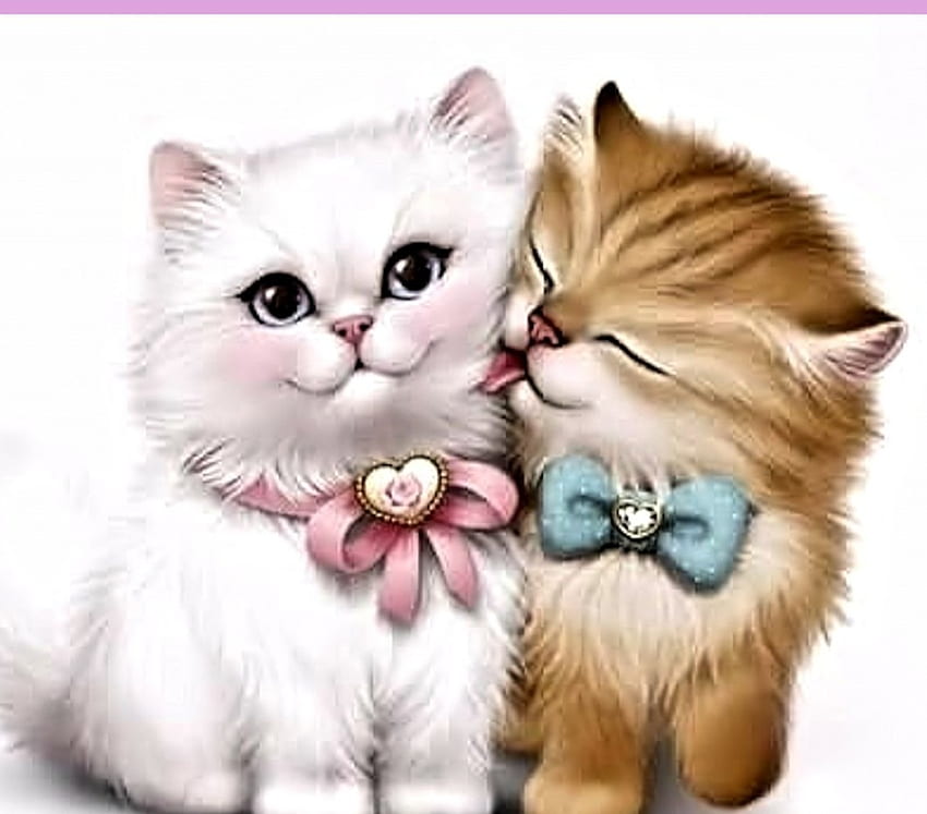 Kitten Love, sweet, cute, Cats, Kitten HD wallpaper | Pxfuel