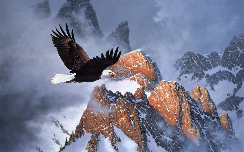 bald eagle and flag pics HD wallpaper
