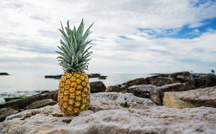 Pineapple Fruit Stones Beach HD wallpaper