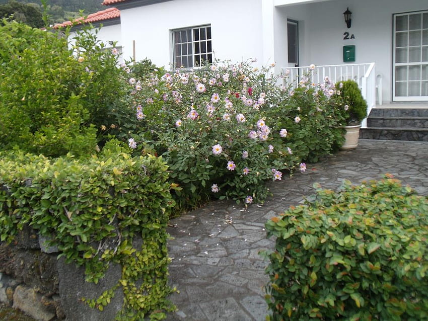 Къща за гости Tropical Fruit Garden, Velas, Португалия HD тапет
