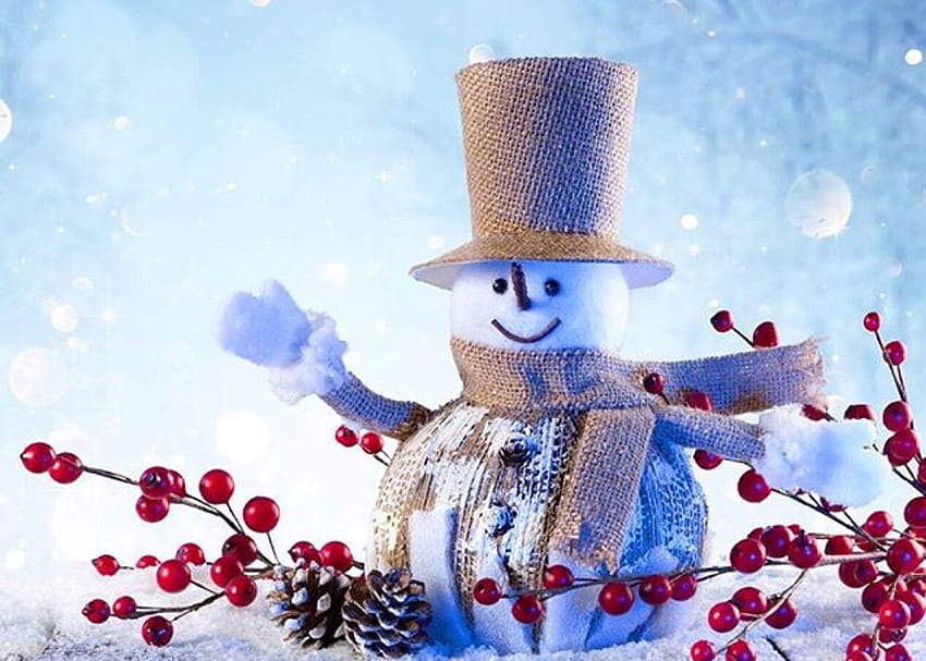 ❤Frosty snowman ❤, Snowman, snow, Cones, scarf, hat HD wallpaper