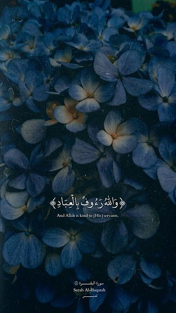 Alhamdulillah wallpaper by xshaaaan  Download on ZEDGE  972e