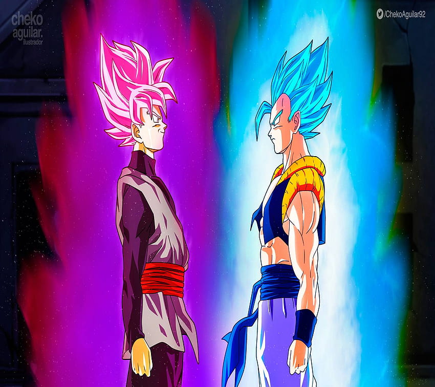 Black Goku vs Gogeta HD wallpaper | Pxfuel