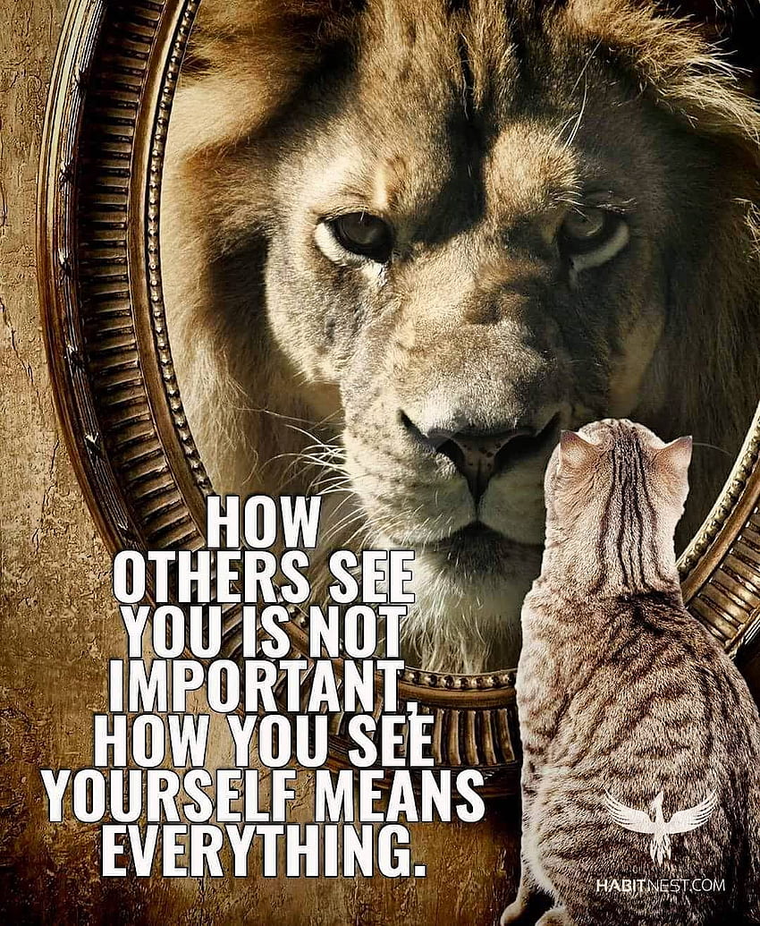 Lion Leadership Quotes - Best Quotes On Lion - & Background, Lion  Motivation Bible HD phone wallpaper | Pxfuel