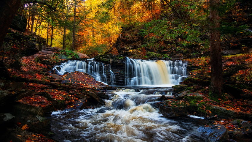 Водопадите Каюга. Ricketts Glen State Park, Пенсилвания, река, есен, есен, дървета, цветове, каскада, гора, САЩ HD тапет