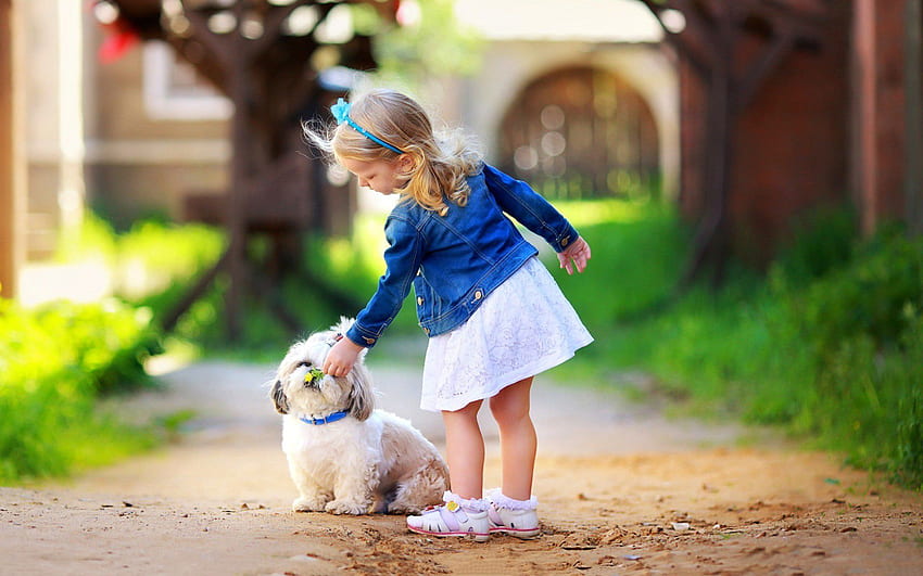 Cute little girl play white dog 621 - Small Dog HD wallpaper