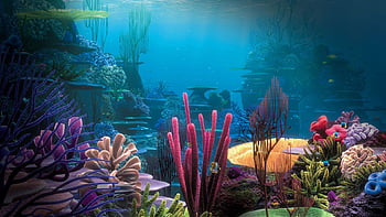 Ocean life sea life backgrounds HD wallpapers | Pxfuel