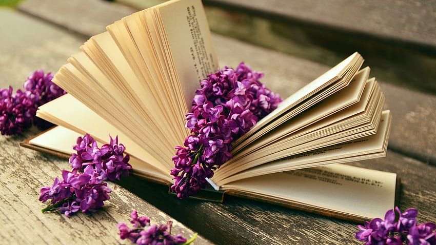 Man Made - Book Lilac Flower Still Life HD wallpaper