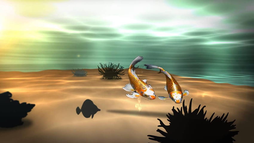 Koi 3D Fish Pond Live HD wallpaper | Pxfuel