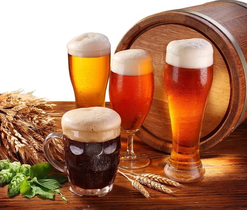 Bier, Alkohol, Flüssigkeit, Getränk HD-Hintergrundbild