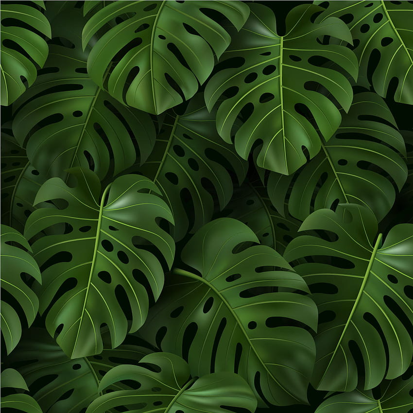 Papel de Parede Folhas 3D de Costela de Adão - Parede de Papel, Folha Papel de parede de celular HD
