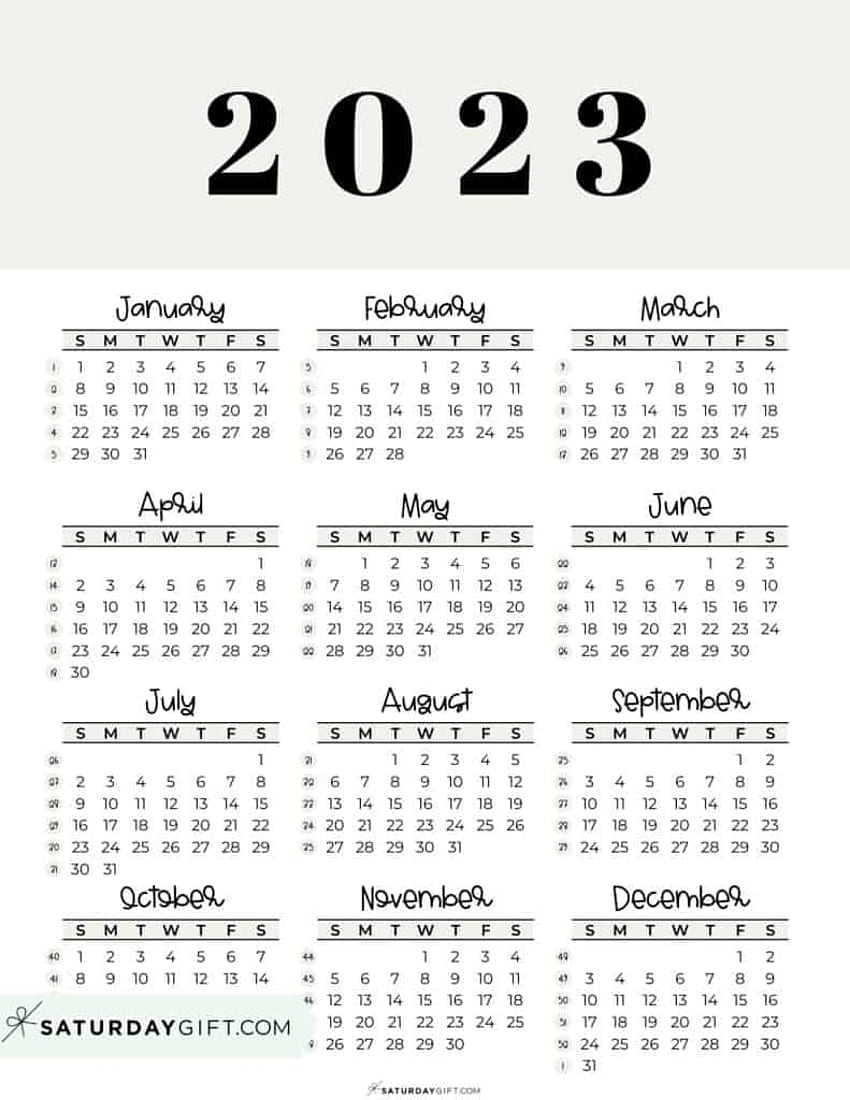 Calendrier imprimable - Modèles de calendrier annuel mignons et 2023 Fond d'écran de téléphone HD