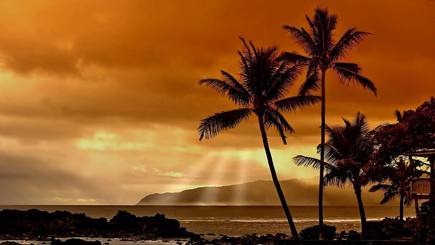 Hawaii Sunset in resolution, Scarface Sunset HD wallpaper
