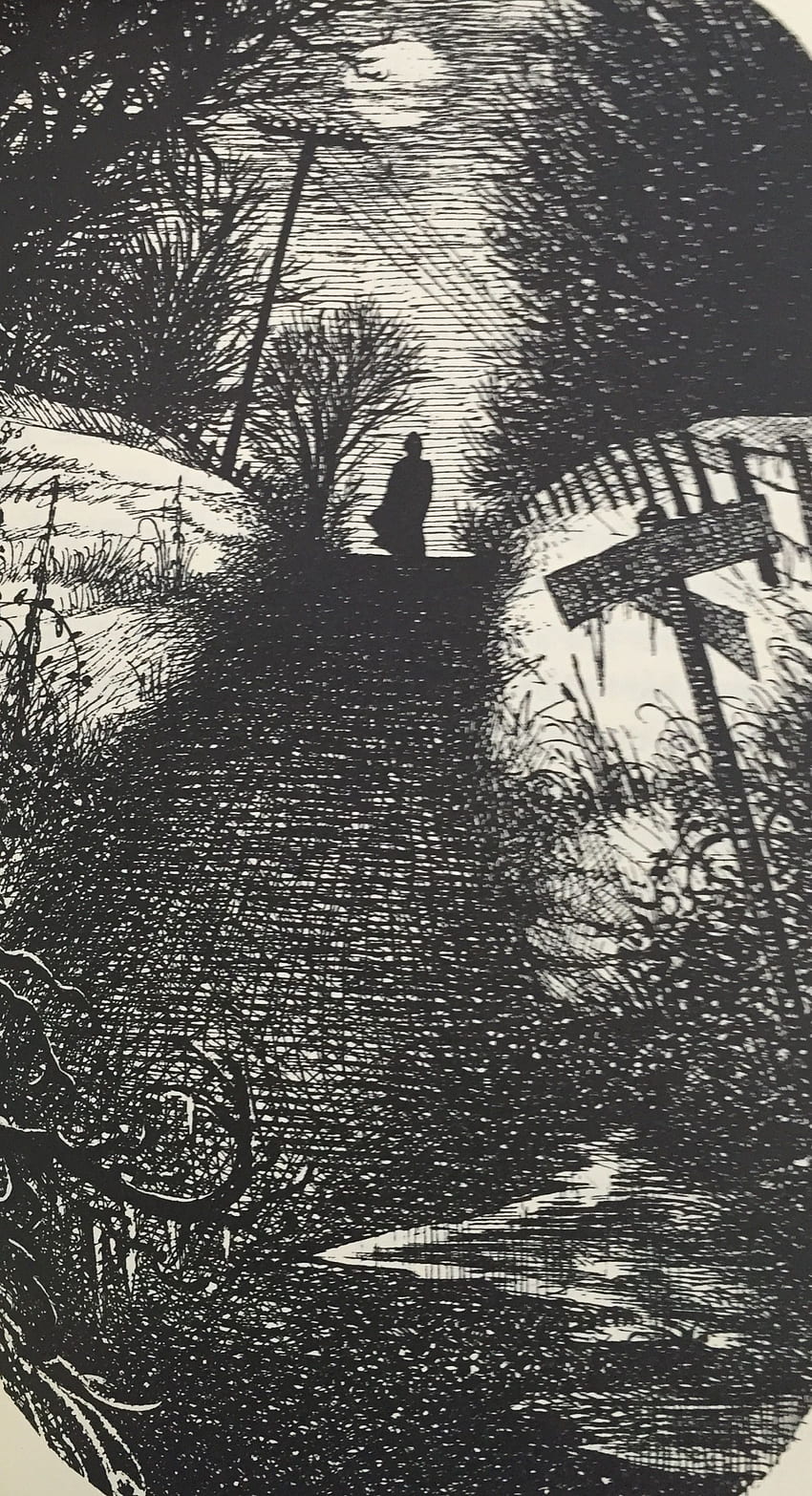 Die Figur im Schatten von John Bellairs. Kinderbuch, Edward Gorey HD-Handy-Hintergrundbild