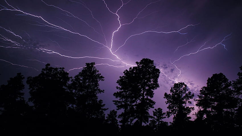 Catturare il fulmine - Holly Hill, Carolina del Sud, temporale, alberi, cielo, Stati Uniti, buio Sfondo HD
