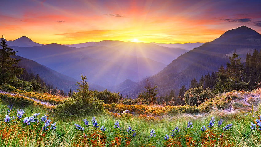 Great Smoky Mountains-Hintergrund HD-Hintergrundbild