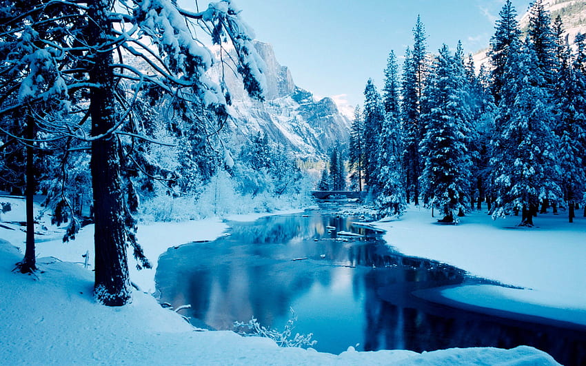 Winter Scene Background, Winter Scenery HD wallpaper | Pxfuel