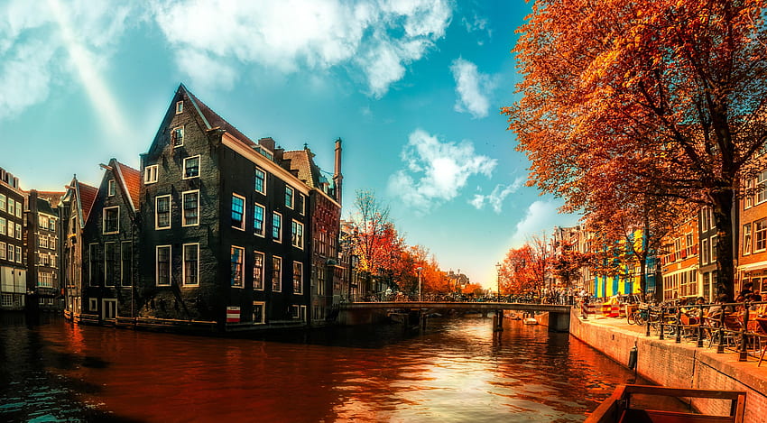 Amsterdam . Amsterdam Tulips, Amsterdam and Amsterdam Spring, Amsterdam City HD wallpaper