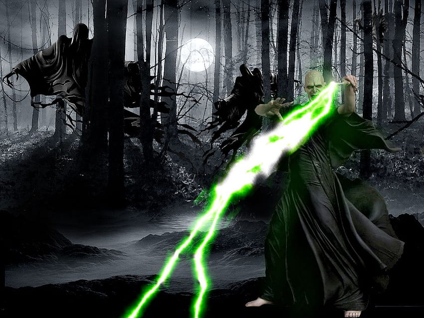 Lord Voldemort - harry potter fondo de pantalla, Harry Vs Voldemort HD wallpaper
