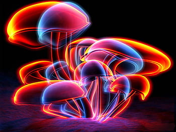 Glowing Mushrooms Fabric Wallpaper and Home Decor  Spoonflower