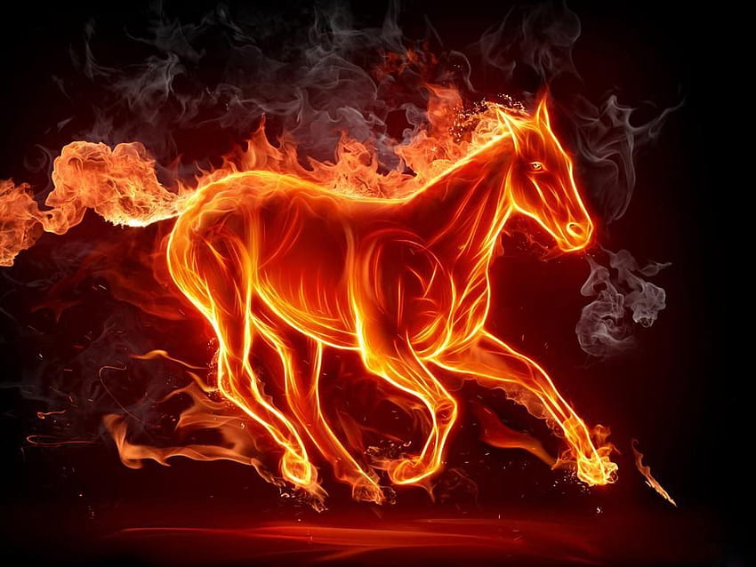 Fire Flame Lion 3D fire fire. Fire - Ogień, 3D Llama HD wallpaper