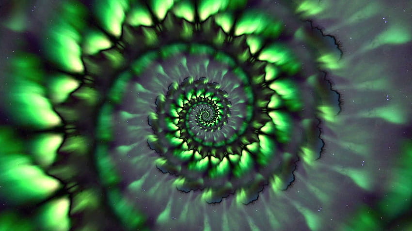 Hypnotic Morphing Psychedelic Fibonacci Spiral Motion - Fibonacci Psychedelic - & Latar Belakang Wallpaper HD