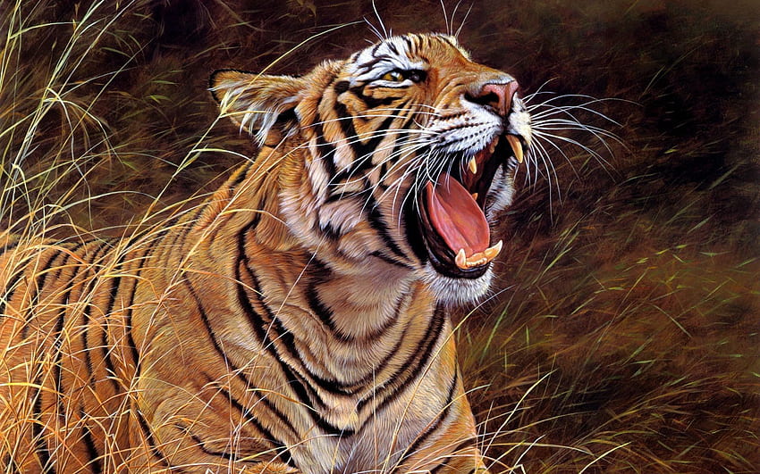 Tiere, Aggression, Grinsen, Raubkatze, Tiger HD-Hintergrundbild