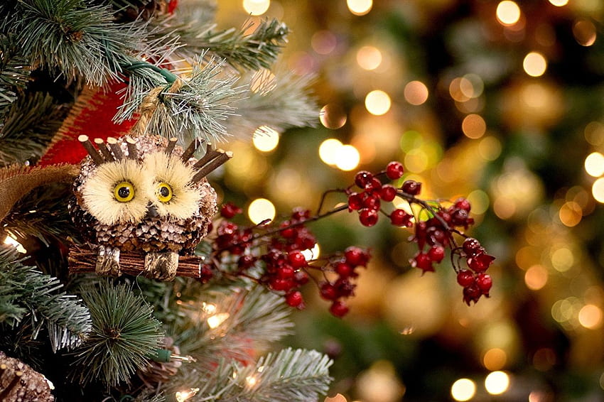 Owls Christmas Branches Toys animal Holidays Wallpaper HD