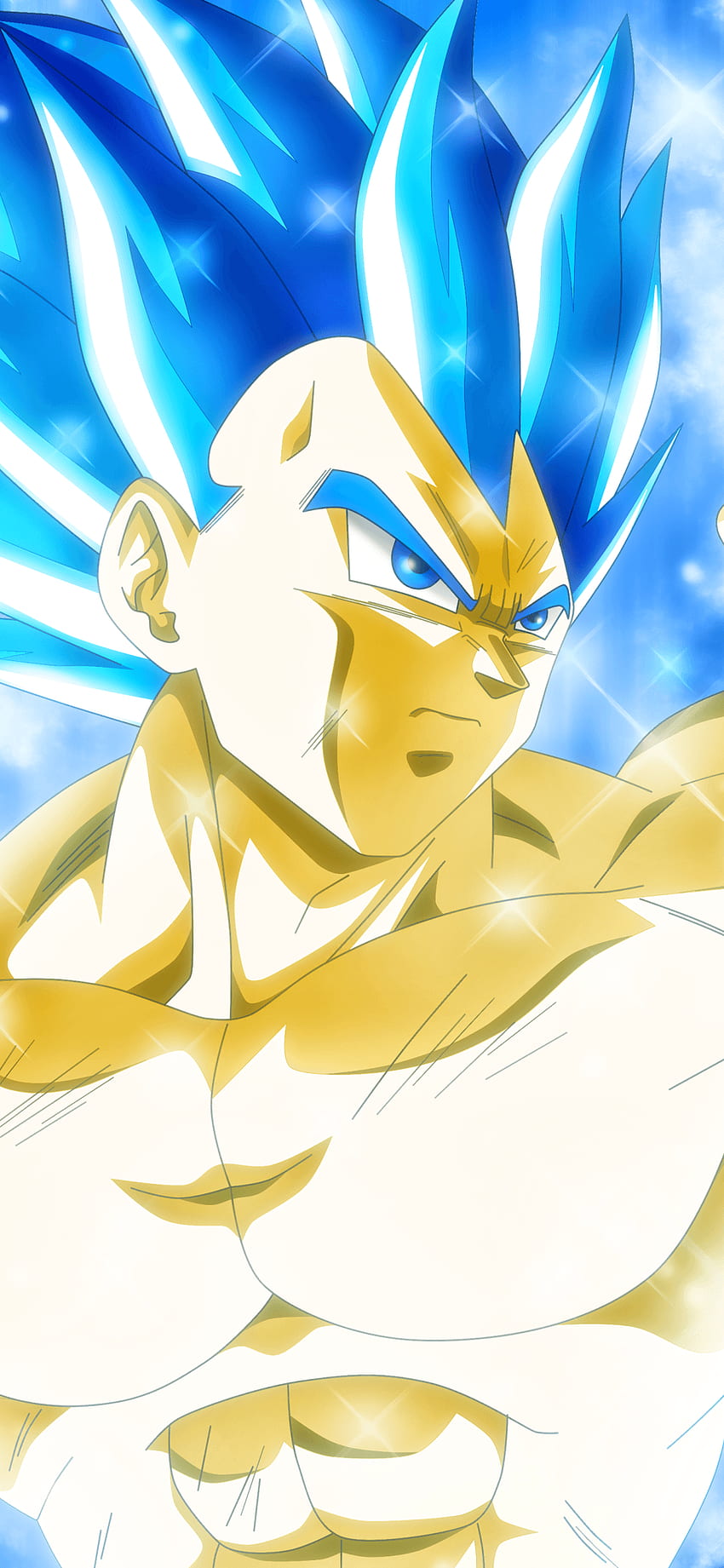 Anime Dragon Ball Super (), Vegeta New Form HD phone wallpaper | Pxfuel