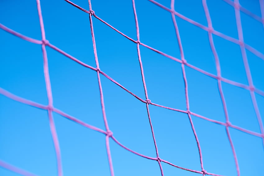 Purple Volleyball Net · Stock HD wallpaper