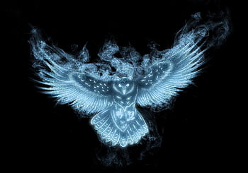 Harry Potter owl tattoo  Tatouages harry potter Tatouage Tatouage homme