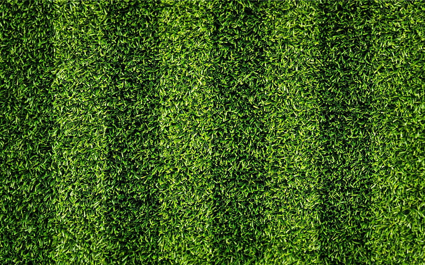zielona trawa, murawa piłkarska, stadion piłkarski, boisko do piłki nożnej z rozdzielczością. Wysoka jakość Tapeta HD