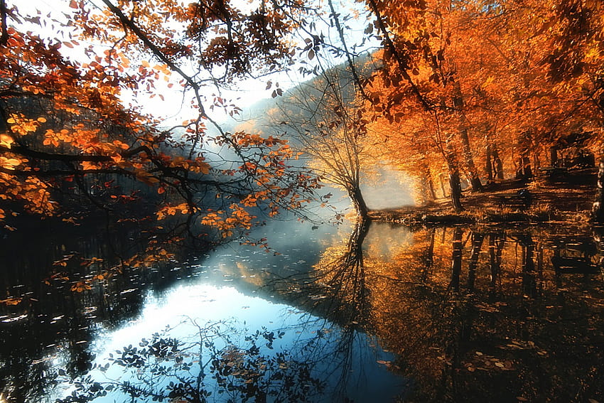 Morning Fog, blue, hills, morning calm, beautiful, grass, orange, lake, mist, reflection, autumn, forest HD wallpaper
