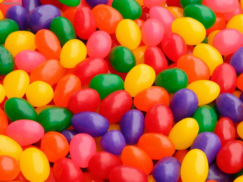 Jelly Bean Background Images HD Pictures and Wallpaper For Free Download   Pngtree