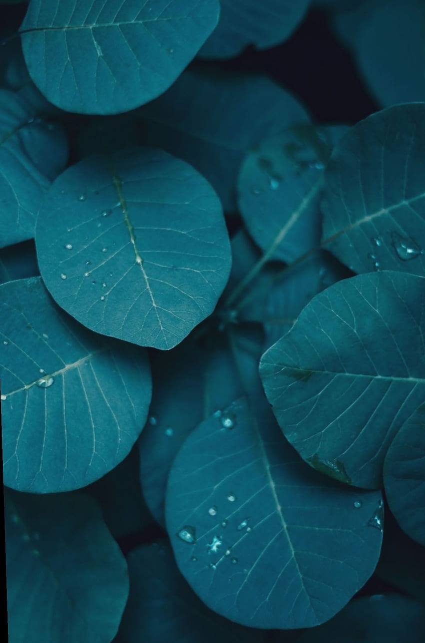 ܓ Blue Turquoise Teal HD-Handy-Hintergrundbild
