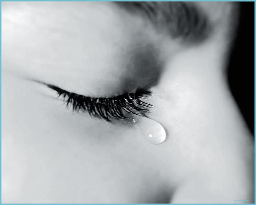 Tears On Dog - Sad Eyes Tears, Sad Eye Crying HD wallpaper