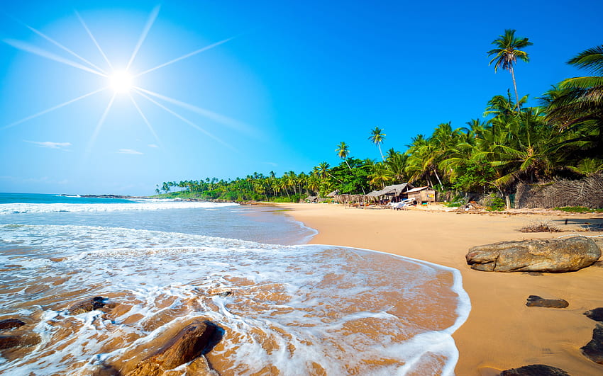 Exótica Sri Lanka Playa Jaffna Bosque Tropical Palmeras Océano fondo de pantalla