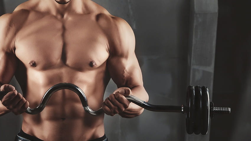 Fit Quinze - Fitness - Musculation - Salle de sport à HD wallpaper