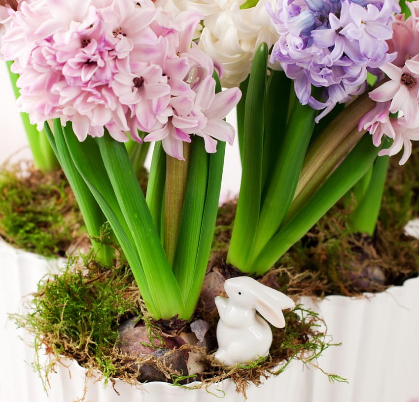 Beautiful pastel colors , pastel, Easter, colors, flowers, spring, eggs, hyacinths HD wallpaper