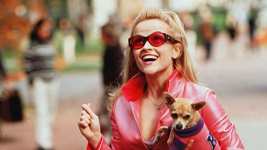 truths 'Legally Blonde' taught us about life HD wallpaper
