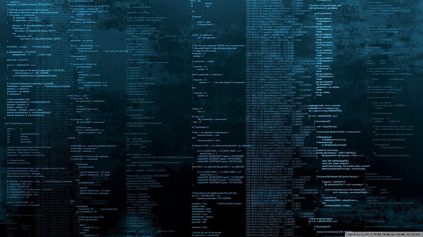 Programmer, Bicara Itu Murah Tunjukkan Kodenya Wallpaper HD