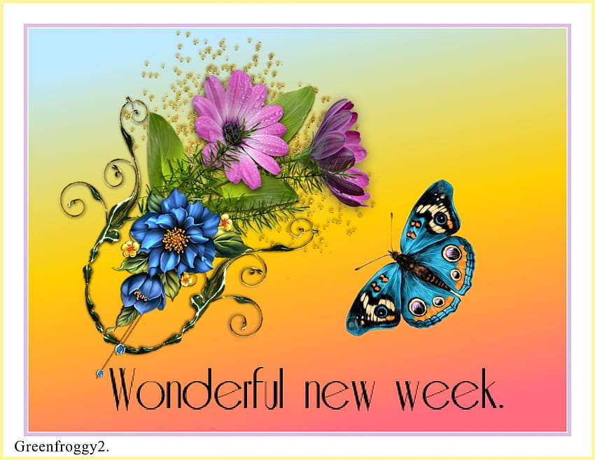 WONDERFUL NEW WEEK, COMMENT, WEEK, CARD, WONDERFUL HD wallpaper | Pxfuel