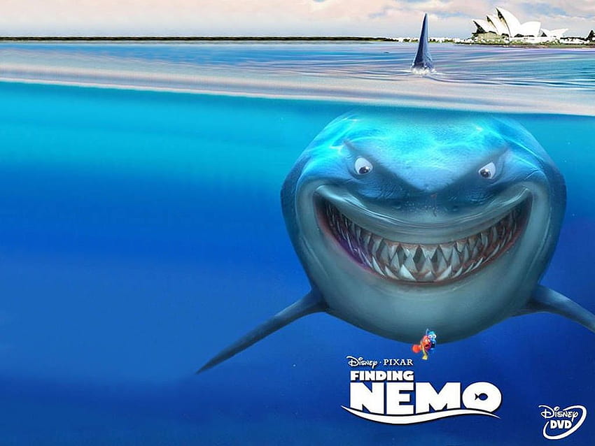Bruce von der Suche nach Nemo-Zitaten. ZitateGram, Nemo Shark HD-Hintergrundbild