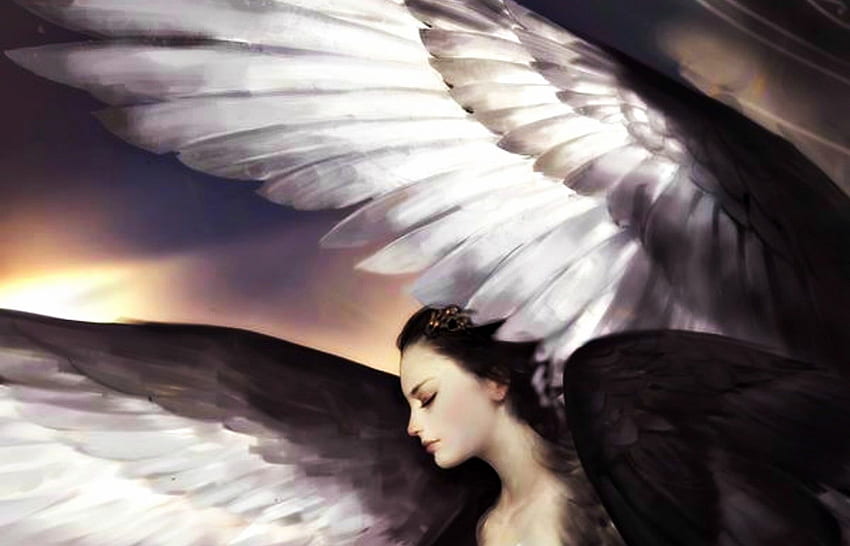 천사, 날개, 흰색, 검정, 소녀, 아름다움, 여자, 깃털, 판타지, 생물 HD 월페이퍼