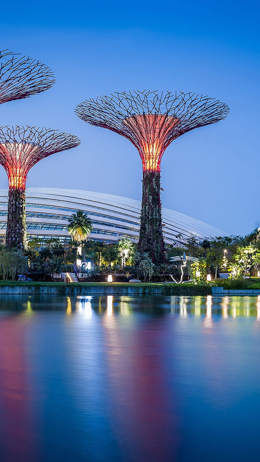 Giardini di Singapore dalla serata dei parchi naturali della baia Sfondo del telefono HD